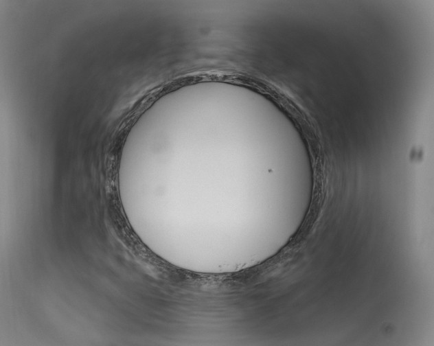 X0000113631399200909181254
