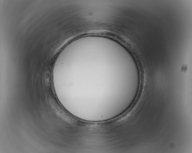 X0000113631401200909181254