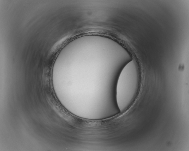 X0000113631403200909181254