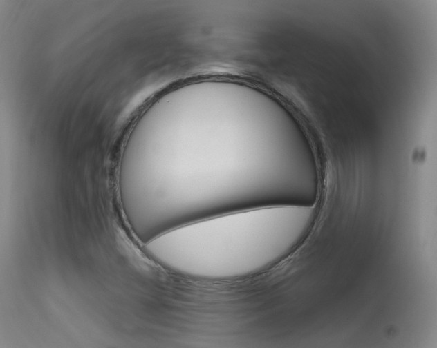 X0000113631404200909181254