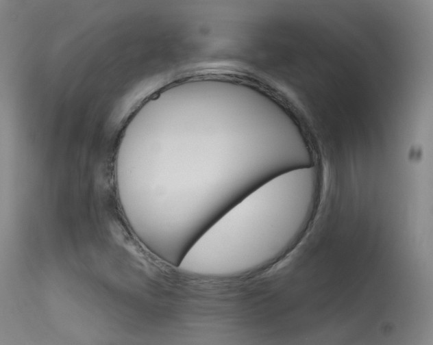 X0000113631405200909181254