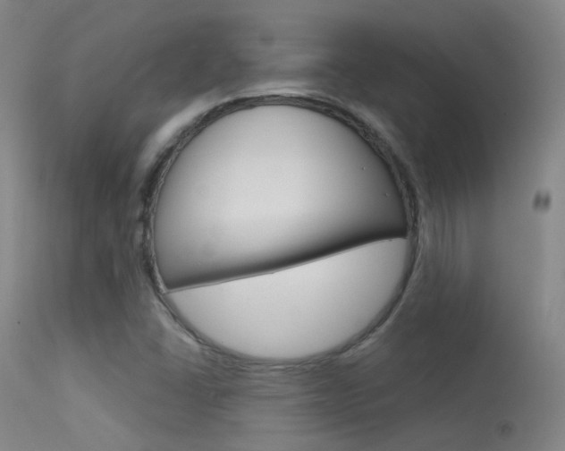X0000113631406200909181254