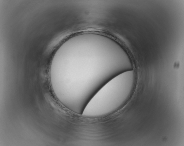X0000113631407200909181254
