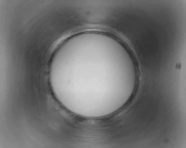 X0000113631411200909181254