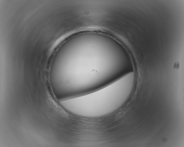 X0000113631412200909181254