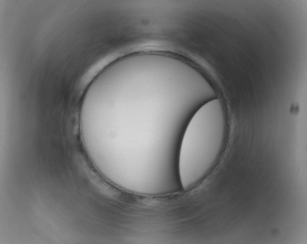 X0000113631413200909181254