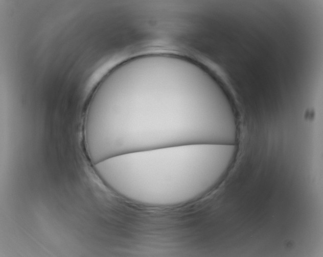 X0000113631415200909181254