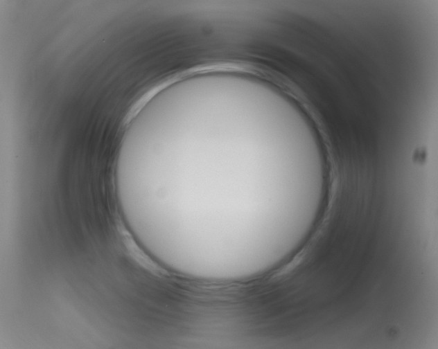 X0000113631417200909181254