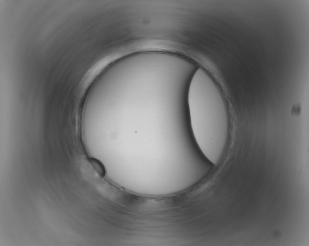 X0000113631419200909181254