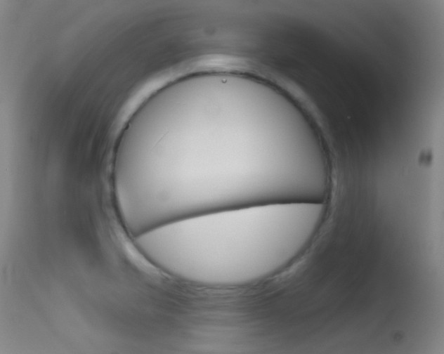 X0000113631421200909181254