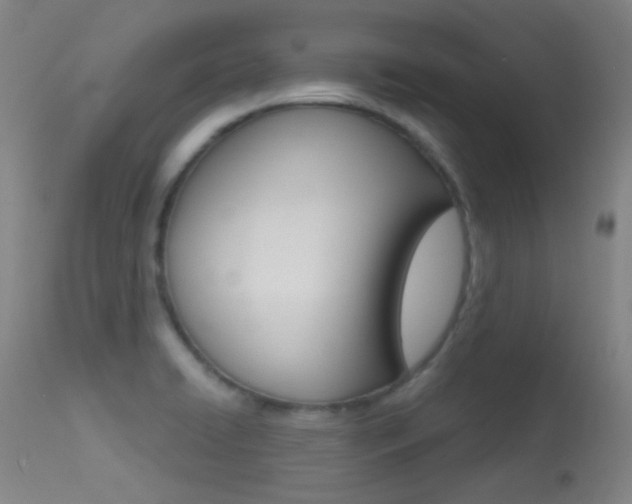 X0000113631422200909181254
