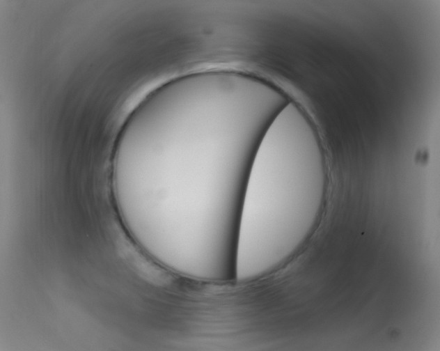 X0000113631423200909181254