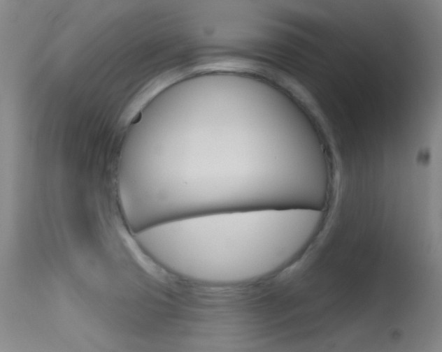 X0000113631425200909181254