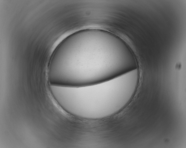 X0000113631428200909181254