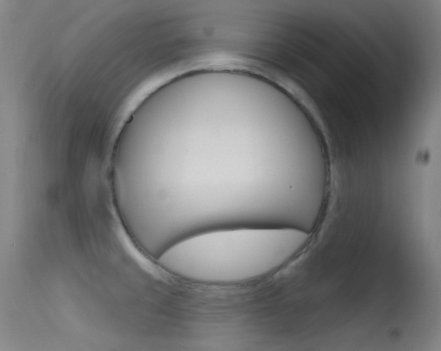 X0000113631429200909181254