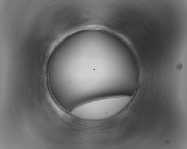 X0000113631430200909181254