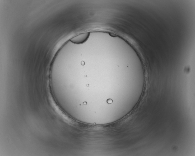 X0000113631431200909181254