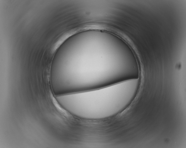 X0000113631433200909181254