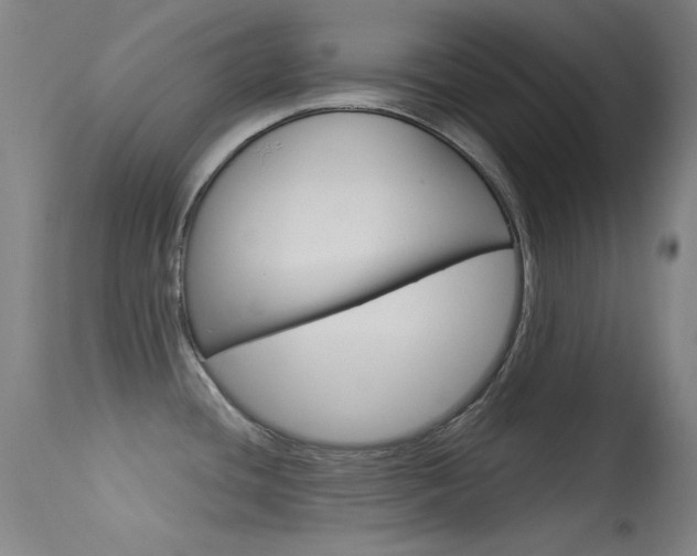 X0000113631436200909181254