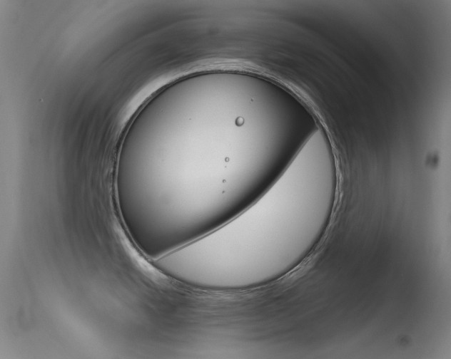 X0000113631438200909181254