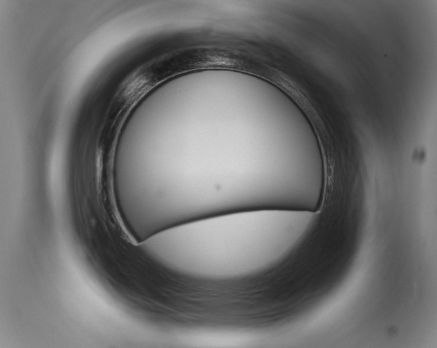 X0000113631439200909181254