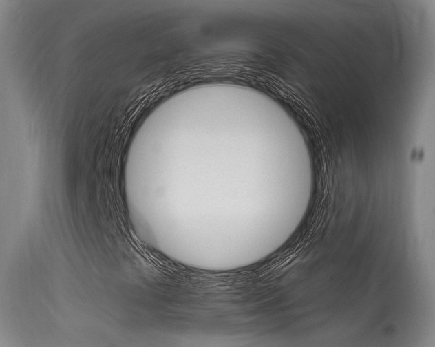 X0000113631441200909181254