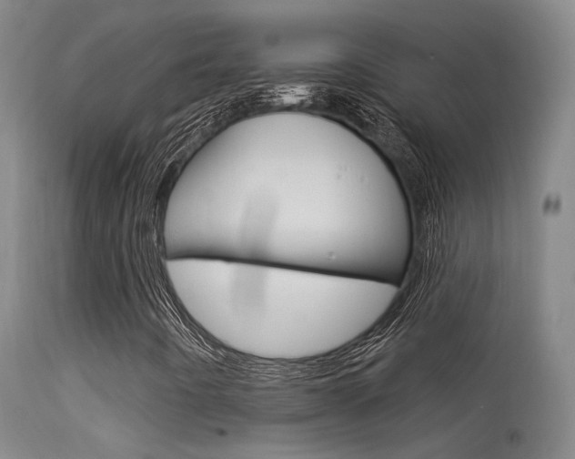 X0000113631442200909181254
