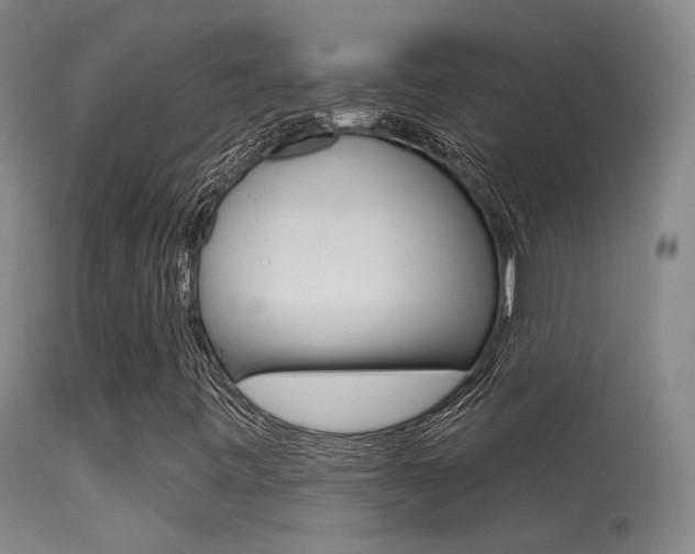 X0000113631443200909181254