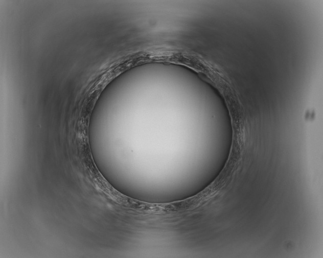X0000113631445200909181254