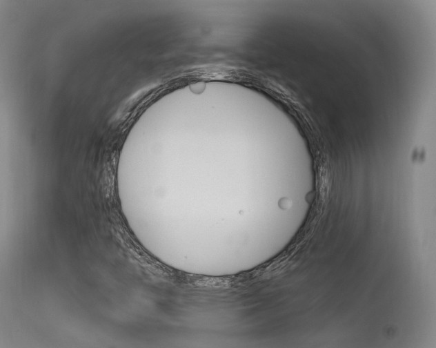 X0000113631446200909181254
