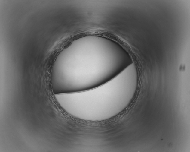 X0000113631447200909181254
