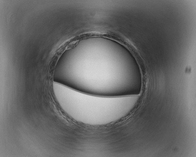 X0000113631448200909181254