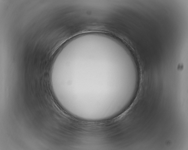 X0000113631449200909181254