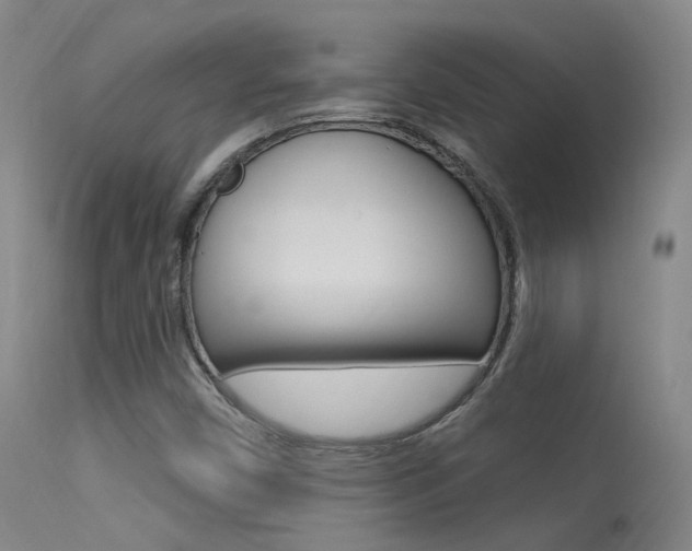 X0000113631450200909181253