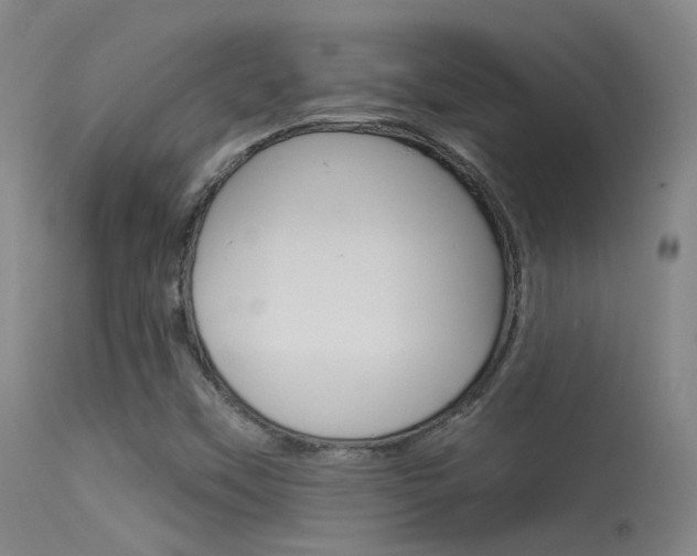 X0000113631451200909181253