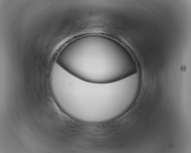 X0000113631452200909181253