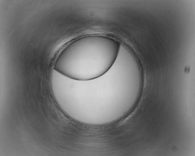 X0000113631453200909181253