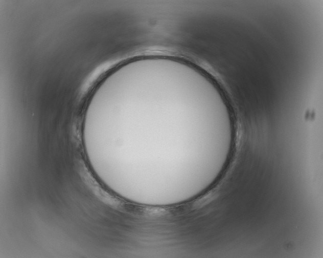 X0000113631454200909181253