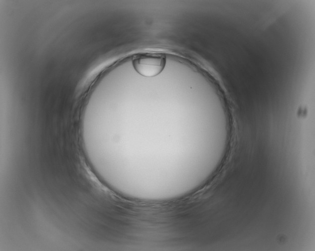 X0000113631456200909181253