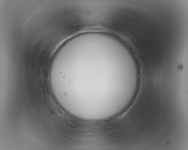 X0000113631457200909181253