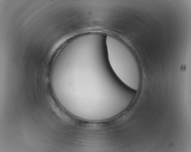 X0000113631458200909181253