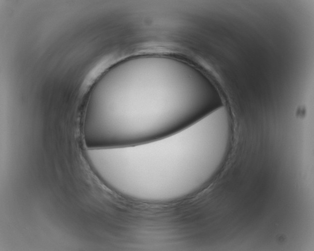X0000113631459200909181253