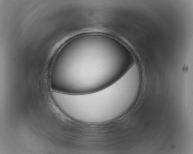 X0000113631460200909181253