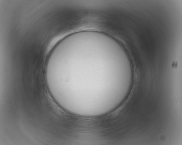 X0000113631461200909181253
