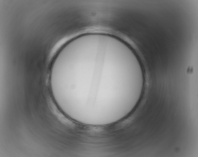 X0000113631462200909181253