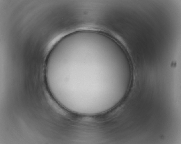 X0000113631463200909181253