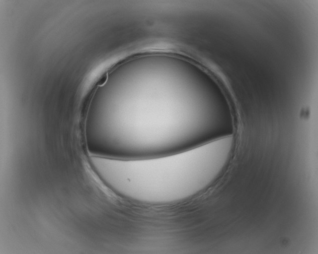 X0000113631464200909181253