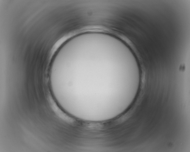 X0000113631466200909181253