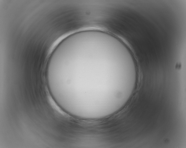 X0000113631468200909181253