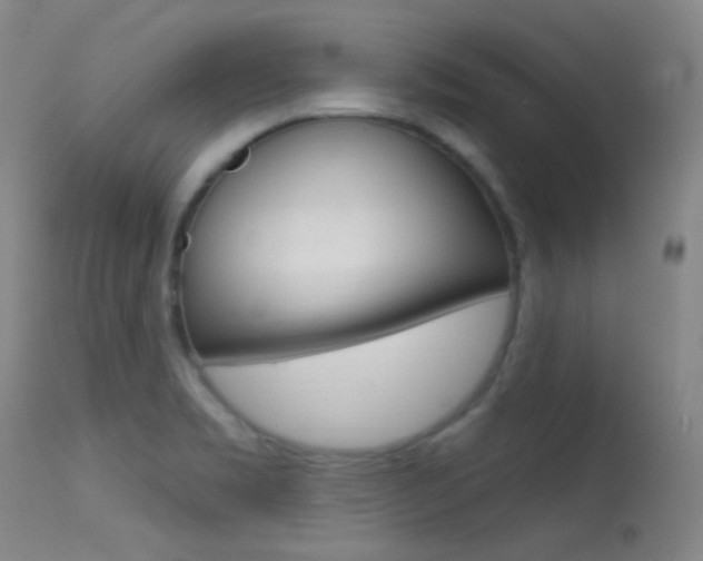 X0000113631469200909181253